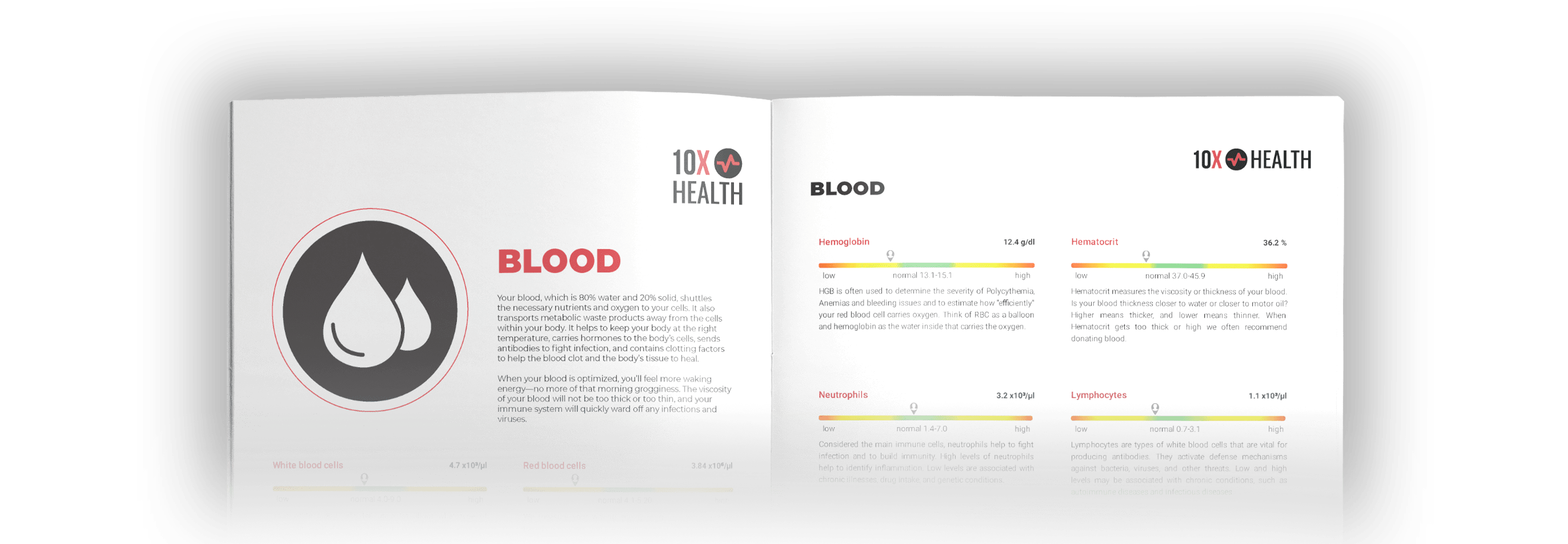 10X Health System Blood Report