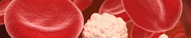 red blood cells managing glucose levels