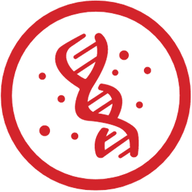 icon of a DNA strand