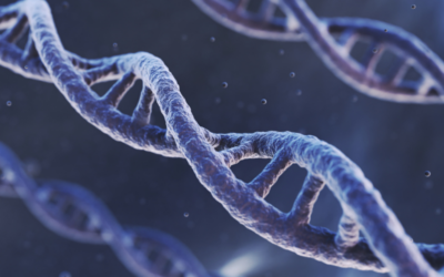 The Role of Genetic Testing in Precision Wellness