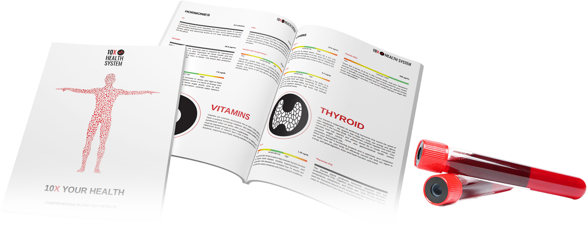 10X Health blood test booklet and sample vials 10X Health blood test booklet and sample vials