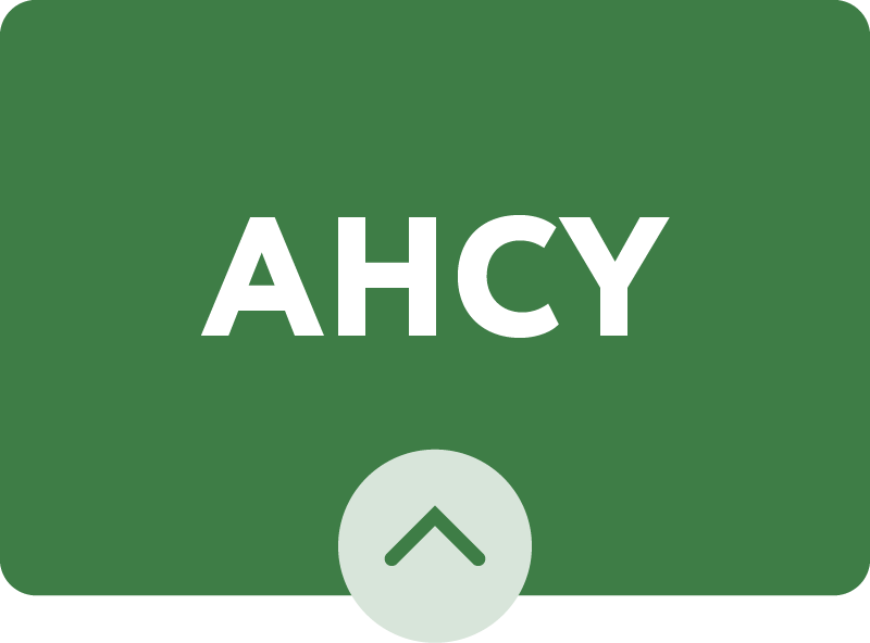 AHCY badge green