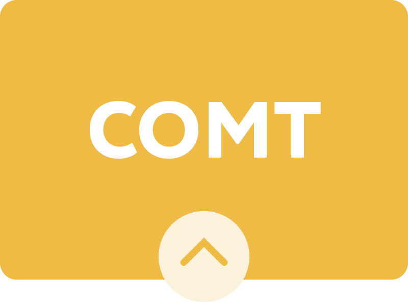 COMT badge yellow