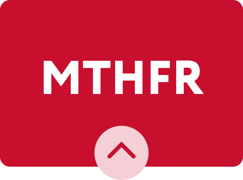 MTHFR badge red