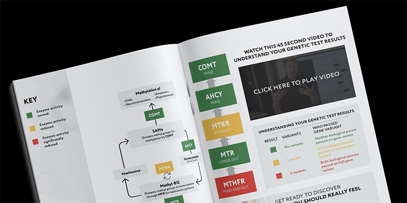 Genetic Test Results Booklet Spread Black Bkg Banner 800w 01