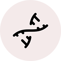 icon of a DNA strand