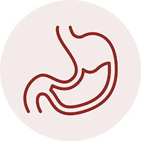 icon of a stomach