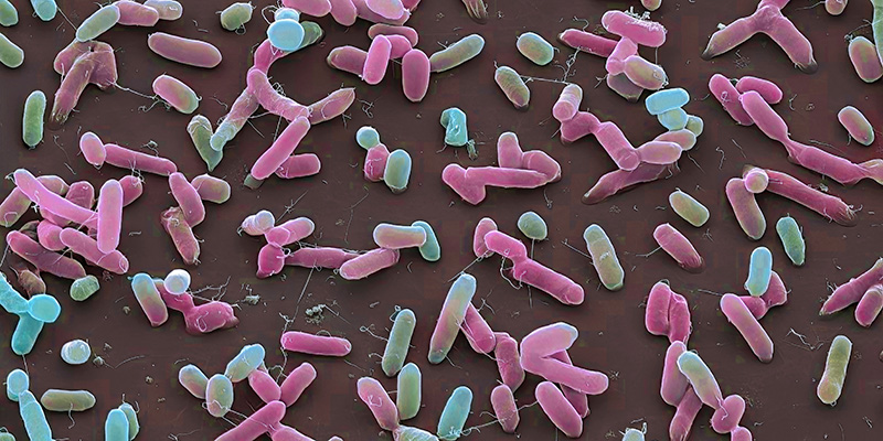 graphic of LPS, a key marker detected by the 10X Health Gut Health Test