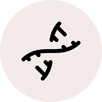 icon of a DNA strand