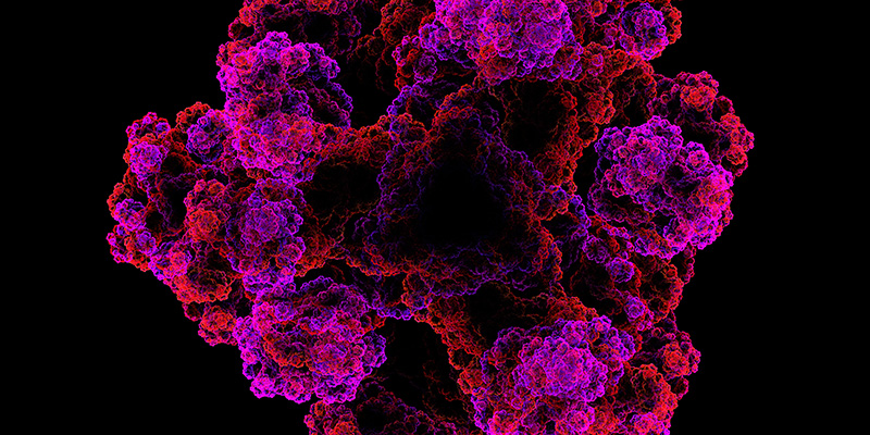 graphic of Zonulin, a key marker detected by the 10X Health Gut Health Test