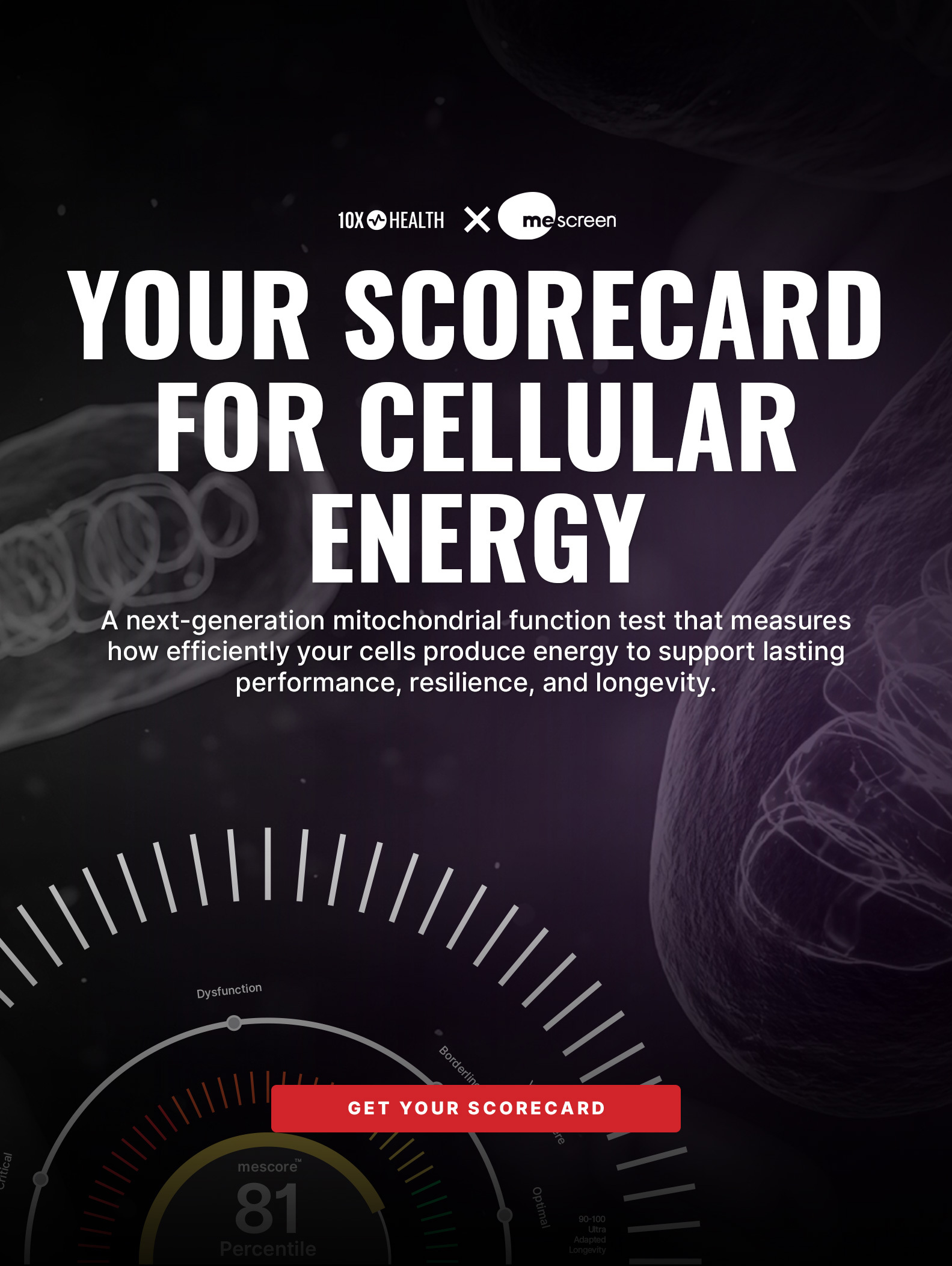 Home 10X SplashBanner MeScreen Mobile 2