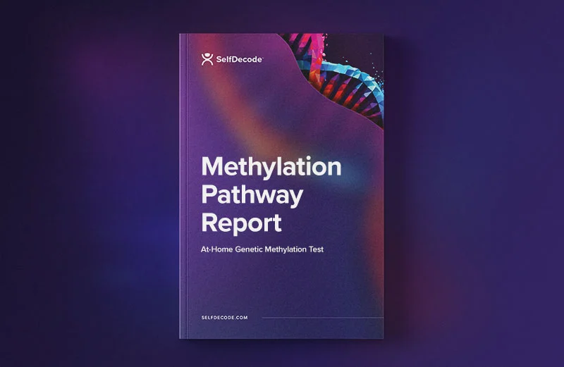 SelfDecode Methylation Pathway Report.

